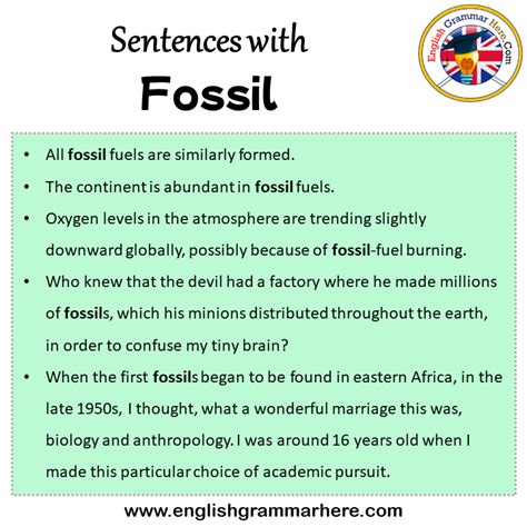 fossil used in a sentence.